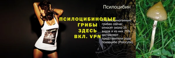 мескалин Алексин