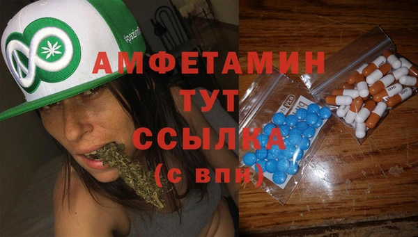 крисы Коряжма